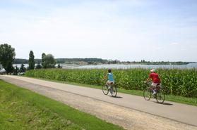 Balades à vélo